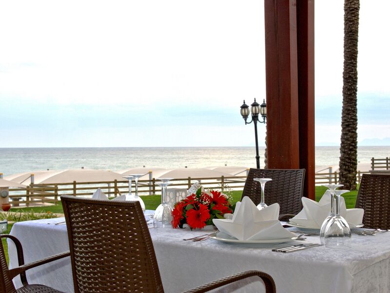 Tuı Magıc Lıfe Belek