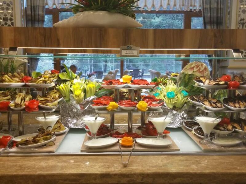 Çam Thermal Resort