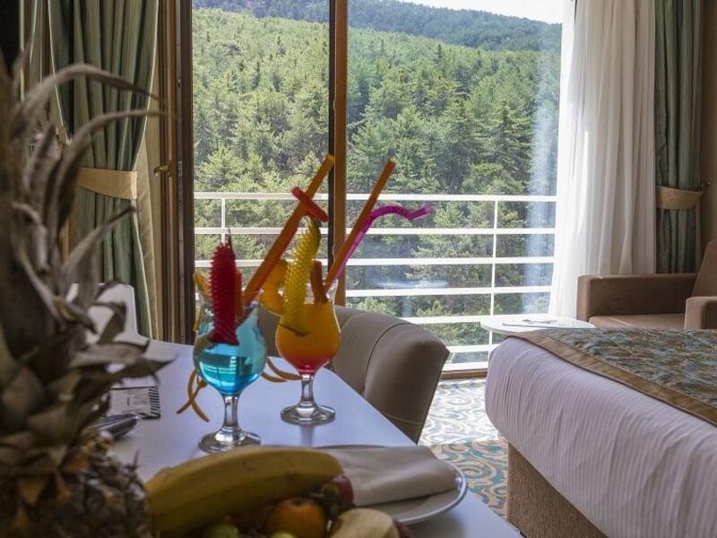 Çam Thermal Resort
