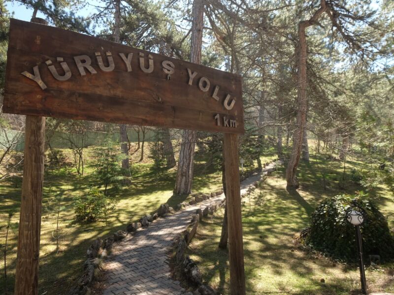 Patalya Thermal Resort 